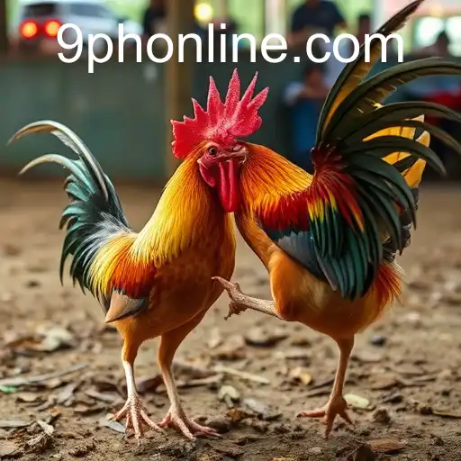 Online Sabong and the Digital Landscape: A 9PH Focus